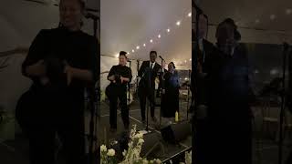 Proud Mary Live Wedding Clip  Ike amp Tina Turner Cool Rulers Cover [upl. by Nimsaj442]