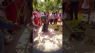 Rabbi Dhol Baja Band  horse ghoda ghodi bundeli dance band baja [upl. by Dillie665]