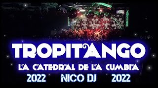 NOCHE DE CLASICOS  TROPITANGO 2022  NICO DJ [upl. by Haleemak]