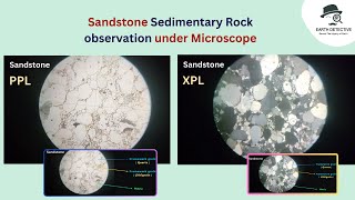 Sandstone Sedimentary Rock Thin section under Microscope  Identify cement Quartz Feldspar mineral [upl. by Enrika]