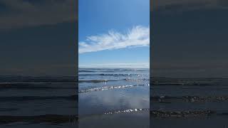 Stunning sunny beach at low tide with soft waves blue sky and clouds a cave and even dogs [upl. by Mercola]