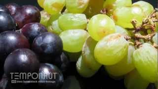 Grapes To Raisins  Rotting Fruit TimeLapse  HD Video [upl. by Wein]