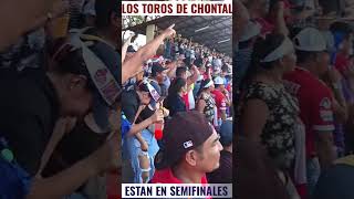 Los toros estan en la semifinal del pomares 2024 baseball [upl. by Kumar]