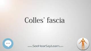 Colles fascia Anatomy Named After People 🔊 [upl. by Oswal]