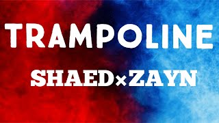 SHAED×ZAYN  Trampoline Lyrics [upl. by Ellwood38]