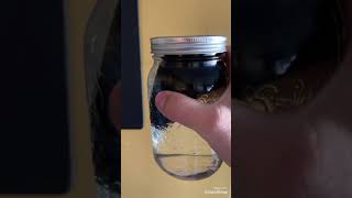 Home made whiskey Oak soaked rum barrel peices Part 1 [upl. by Alviani]