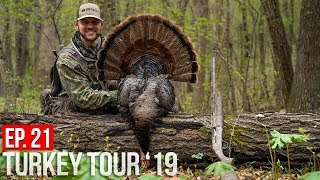 MISSOURI PUBLIC LAND TURKEY  Windy Day Gobblers [upl. by Yrallih]