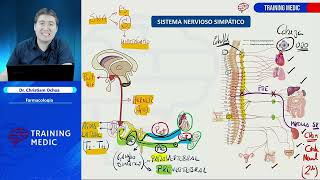 21 Agonistas Y Antagonistas Adrenérgicos Farmacología [upl. by Cychosz]