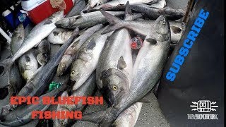 EPIC BLUEFISH FISHING TRIP  MISS BELMAR PRINCESS NEW JERSEY [upl. by Debora309]