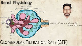 Glomerular Filtration Rate GFR  renal physiology  বাংলা [upl. by Corkhill]