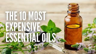 Top 10 Most Expensive Essential Oils in the World [upl. by Kilby]