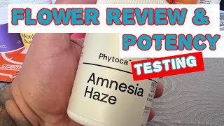 Amnesia Haze Sativa Flower  Medical Cannabis [upl. by Gasper827]