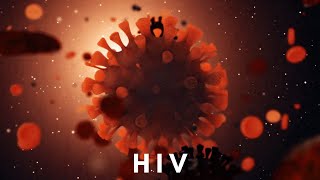 Understanding HIV A Simple Guide [upl. by Ronyam28]