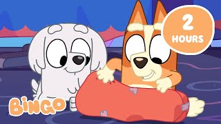 🔴LIVE Bingos Big Adventure 🤩🧡  Get Exploring with Bingo and Bluey 🌎  Bingo [upl. by Ahsikan729]