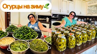 РЕЦЕПТ МАРИНОВАННЫХ ОГУРЦОВ 🥒 ОТ АРУСИ КАВКАЗ ВКУСНЫЕ ХРУСТЯЩИЕ МАРИНОВАННЫЕ ОГУРЧИКИ НА ЗИМУ [upl. by Ahseenal652]