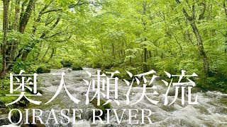 奥入瀬渓流 Oirase Stream [upl. by Anauqaj]