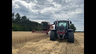 ✩ 🇵🇱 Oporowe żniwa rzepaku i żyta 2024 ✩Laverda i ✩Valtra GR Zalewski [upl. by Ainorev]