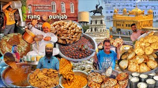 Amritsar Street Food Under Rs20 Only  Kulcha Chole Bhature Chole Pakoda  Amritsar Walking Tour [upl. by Ainiger]