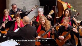 Orchestra mandolinistica di Lugano  Johann Schrammel Wien bleibt Wien arr Mauro Pacchin [upl. by Eenolem]