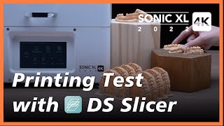 Sonic XL 4K 2022 Test Printing with DS slicer [upl. by Shurlock]