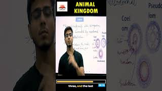 Types of Coelom Explained in 20 Seconds 🌟  Animal Kingdom  Class 11 [upl. by Holub243]