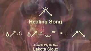 Spirit Medicine Healing Song in Lakota with Lyrics amp translation [upl. by Ermeena678]