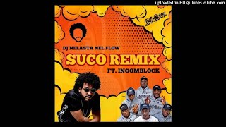 DJ Nelasta Nel Flow Feat Ingomblock  Suco Remix [upl. by Lira]