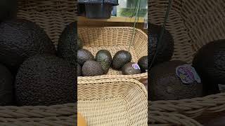 fruit fruits horticulture shortsvideo avocado [upl. by Maribeth]