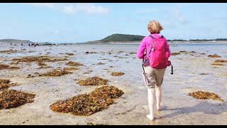 A Walk Across The Sea Low Tide Event Isles Of Scilly [upl. by Waterman]