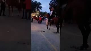 Horse Shortsvideomalayalam comedy [upl. by Ignatius166]