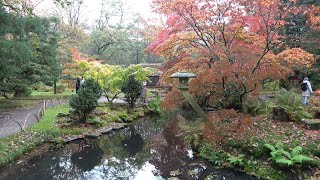 Japanese Garden at Clingendael Park the Hague the Netherlands [upl. by Gaynor]