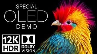 12K HDR Video ULTRA HD 120fps Dolby Vision  Special Oled Demo [upl. by Anuaf]