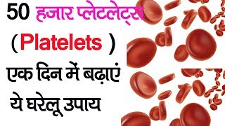 खून में प्लेट बढ़ाने का घरेलू नुस्खा  how to increase blood platelets in hindi [upl. by Chiquita]