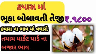 kapas Na bhavકપાસ ના ભાવ26102024 Khedubhaixyz [upl. by Wilkison]