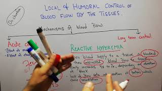 CVS physiology 98  Reactive hyperemia  Autoregulation of blood flow [upl. by Itteb]