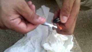 Burning the fly larvae from our bunny fluffy [upl. by Correy962]