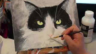 Black and White Cat Painting Acrylic Timelapse [upl. by Asiluj]