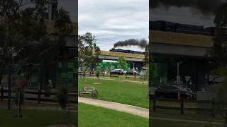 🚂 Steam Train Chuggin down the SkyRail 4K steamtrain train steamengine [upl. by Nommad322]