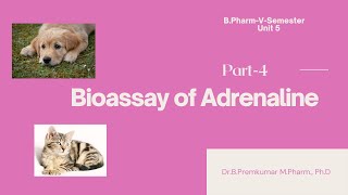 Bioassay of AdrenalineBioassayPart4 [upl. by Eelam]