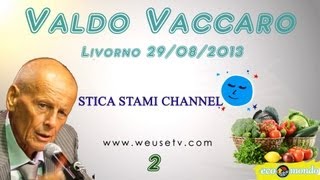 Valdo Vaccaro  Cibo vivo mente libera part 2 domande e risposte [upl. by Scriven]