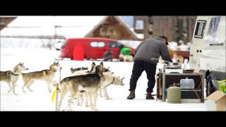 Schlittenhunderennen in Werfenweng [upl. by Engracia]