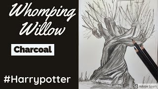 Whomping Willow  Charcoal Pencil  Harry Potter [upl. by Derrej]