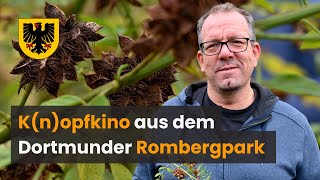 Knopfkino aus dem Botanischen Garten Rombergpark die Pflanze des Monats Oktober [upl. by Akemit81]