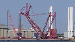 mammoet PTC Ring Crane [upl. by Paine]