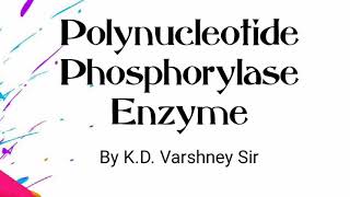 Polynucleotide Phosphorylase enzyme [upl. by Ayit]