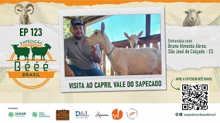 EXPEDIÇÃO BÉÉÉ BRASIL EP 123  VISITA AO CAPRIL VALE DO SAPECADO [upl. by Nylekcaj446]