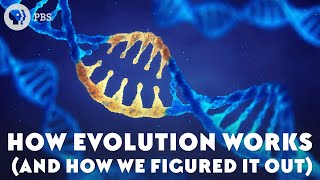 How Evolution Works And How We Figured It Out [upl. by Baldwin]