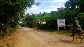 La Ceiba Un Hermoso Lugar Para Visitar  Ceiba Cazones Veracruz México [upl. by Betsey]