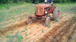 Farmall super A cultivating corn [upl. by Nyrahtak]