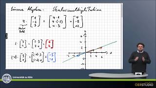 0115 Skalarmultiplikation Vektor [upl. by Haley]
